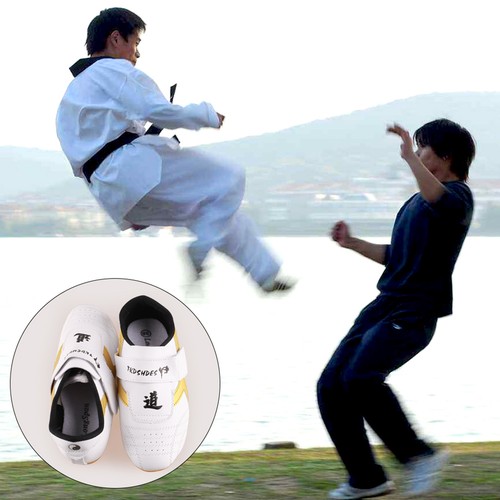 Taekwondo sport boxing kung - sport, fu