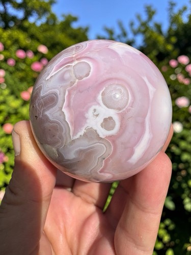 55mm pink jelly - 🌸,