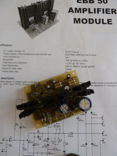 Ebb amplifier module - 50, 20w