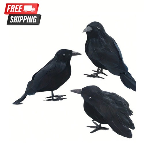 2pcs halloween black - halloween, crow