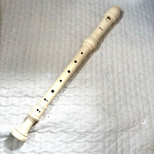 Recorder flute student