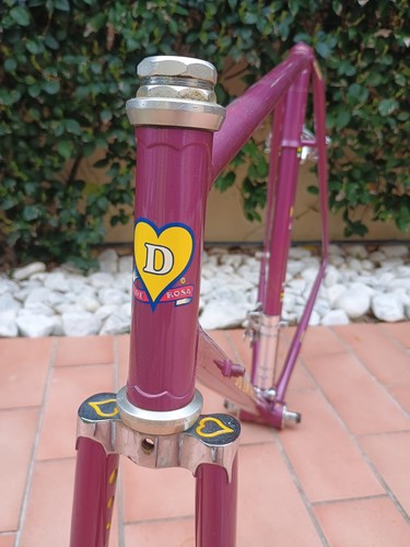 Nos 1973 vintage rose - nos, frame