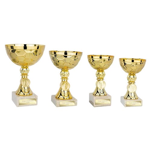 Presentation cup trophy gold - presentation,