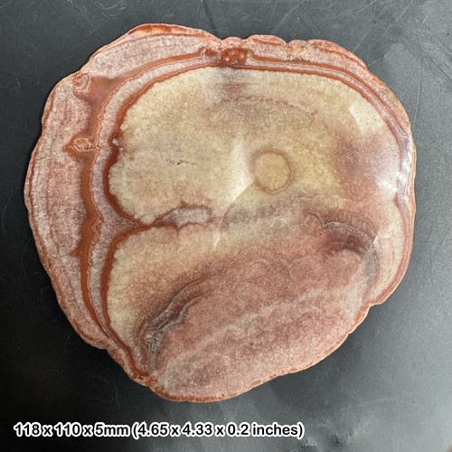 Dulcote agate polished slice - dulcote,