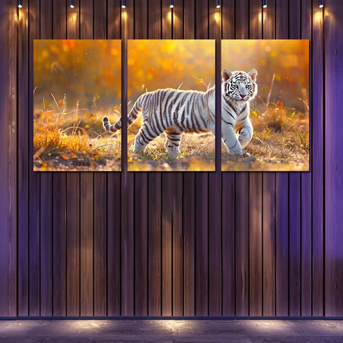 3pcs charming white - white, cub