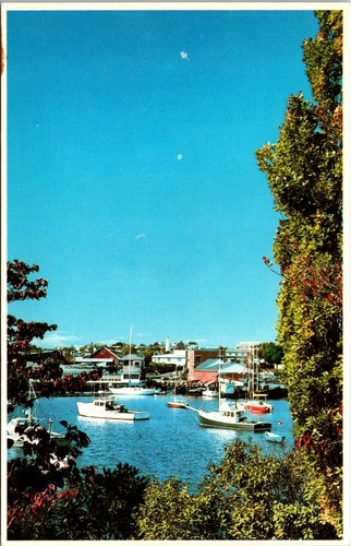 Fishing pleasure boats - fishing,