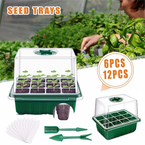 12pack 144 cells propagator - 12pack,