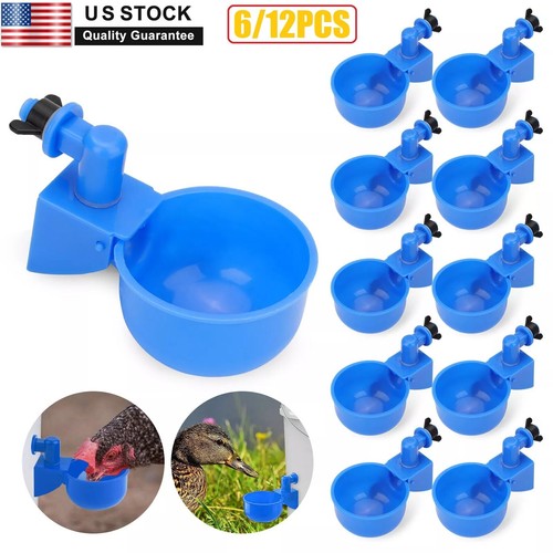 12pcs automatic chicken - 6/12pcs,