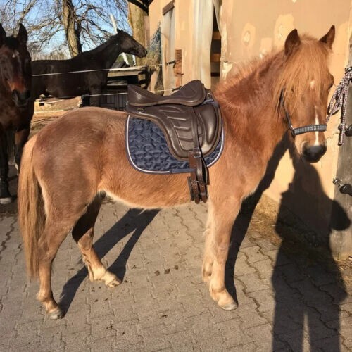 Leather freemax treeless - leather,