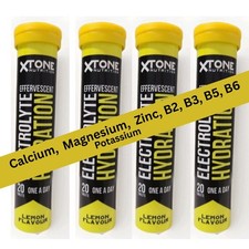 4 x 20 Electrolyte Magnesium