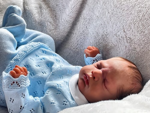 New baby nest delivery - a, nest*