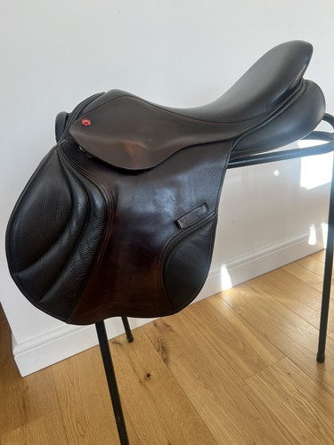 Albion adjusta jump - jump, saddle
