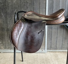 Lovely Little 15.5’’ GFS