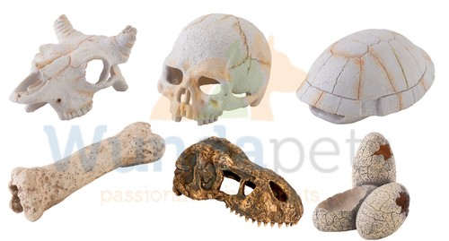 Exo terra resin - terra, skeleton