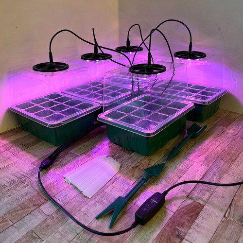 Plant propagator seed tray - seed,
