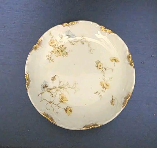 Haviland limoges butter - butter, pat