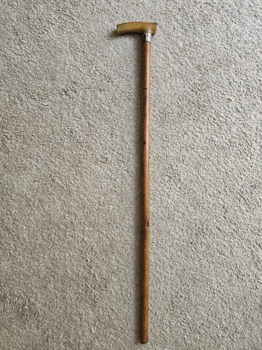 Walking stick cane - cane, vintage