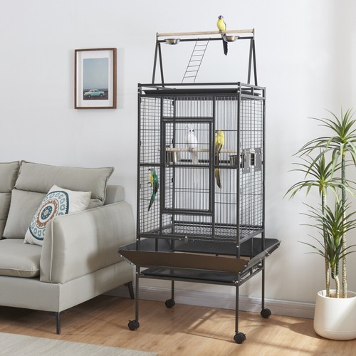 Large bird cage parrot - large,