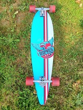 Beautiful Blue Osprey Pintail