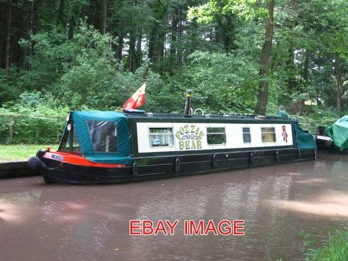 Photo fozzie bear - bear, narrowboat