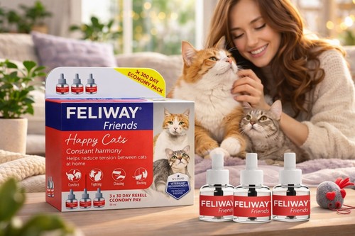 Feliway friends day refill - 30,