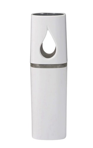 Mini nano facial - mini, steamer