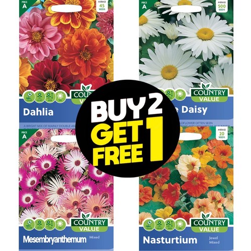 Flower seeds cosmos cornflower - seeds,