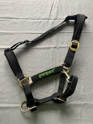 Greenguard old style padded - old,