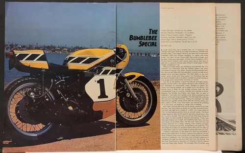 1978 the bumblebee special - bumblebee,
