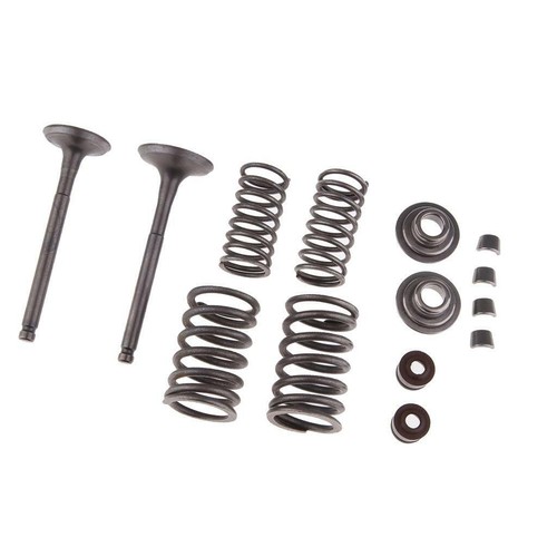 Intake exhaust valves spring - valves,