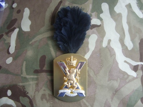 Royal regiment scotland - royal,