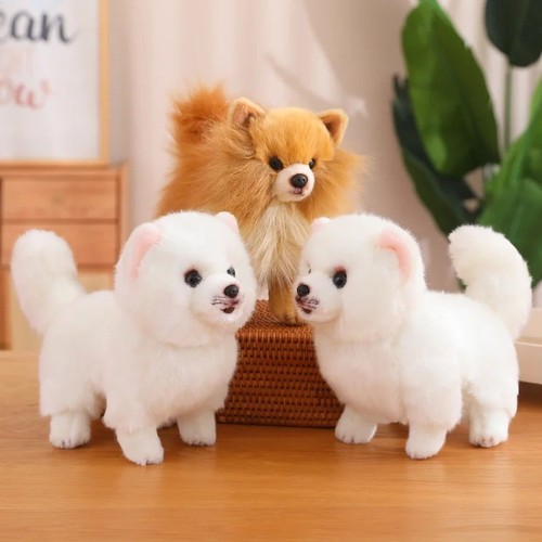 Cute pomeranian dog - pomeranian, plush