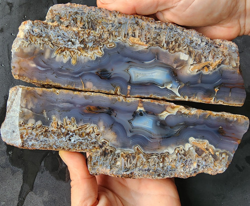 Lbs large bluish - 3.7,