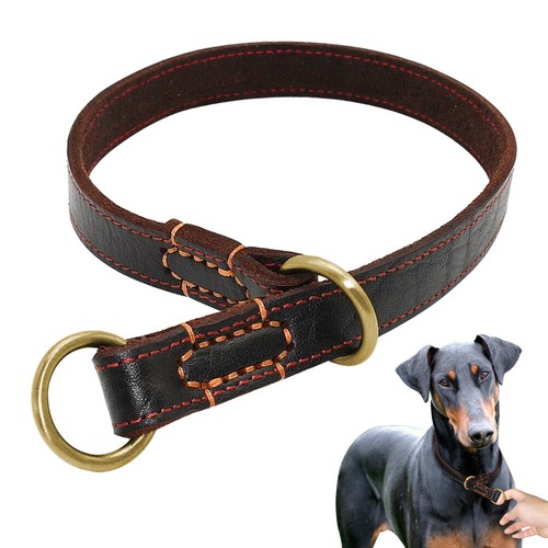 Genuine leather dog - genuine, choker