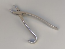 Equine Dental Forceps Tooth