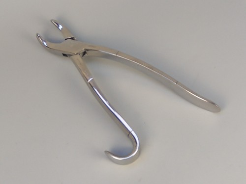 Equine dental forceps - equine,