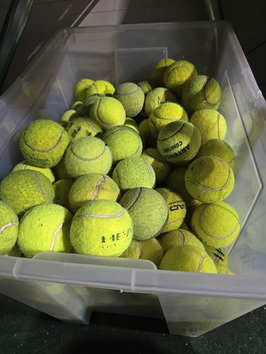 Used tennis balls - balls, for