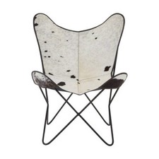 Buffalo Black and White