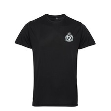 Royal Irish Regiment British