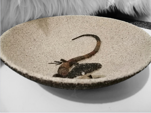 Vintage art display bowl - vintage,