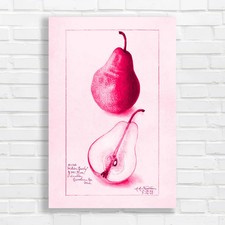 Vibrant Pear Botanical