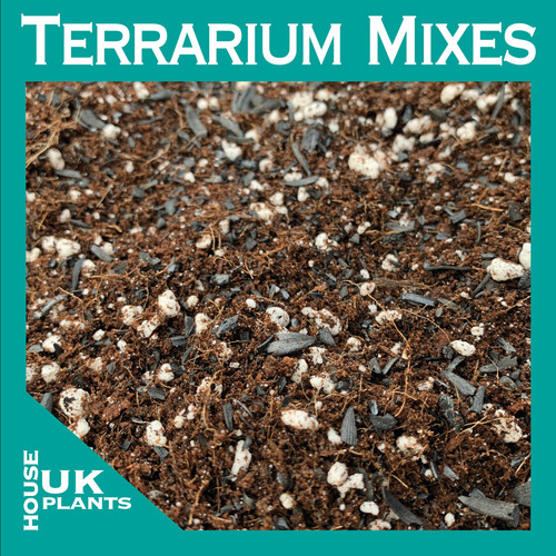 Terrarium compost soil - terrarium,