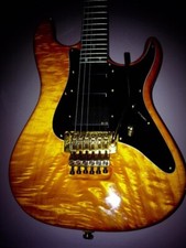 Valley Arts Custom Pro (toto / Steve Lukather Guitar Sound)