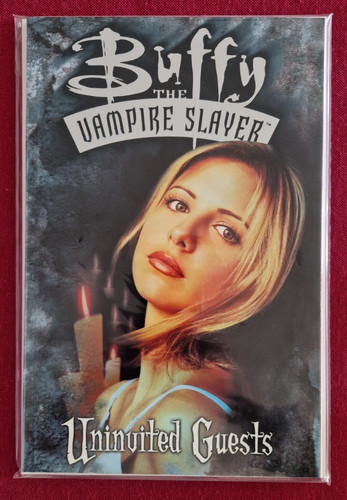 Buffy the vampire slayer - slayer,
