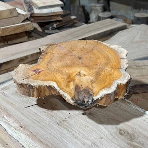 Yew cookie round - round, table