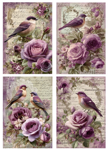 Perfect purples birds - perfect, purples,