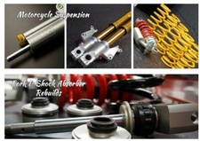 Kawasaki KR1S 250 Fork