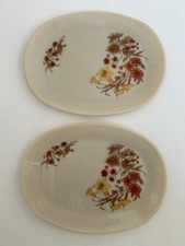 2x Vintage Pyrex Harvest Spray Oval Steak Dinner Plates Made in England