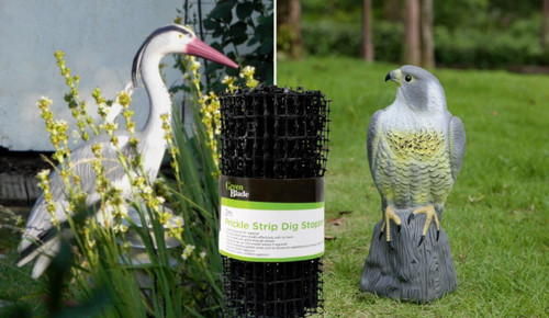 Bird deterrent dig - bird,
