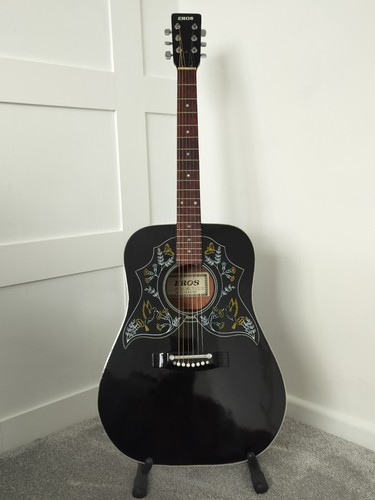 Eros acoustic guitar right - acoustic, or